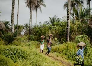 People walking through forest carrying cassava